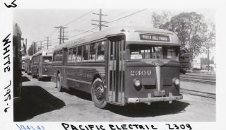 1942 - 43 Pacific Electric Railway Bus Photo 2309 Hollywood California