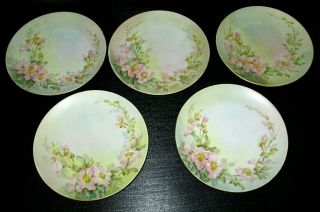 Vintage Thomas Bavaria Porcelain Set Of 5 Hand Painted Dessert Plates,  Signed
