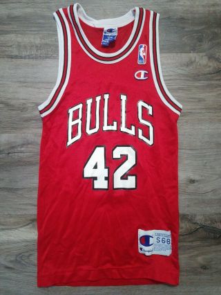 Vtg Champion Chicago Bulls Nba Basketball Elton Brand 42 Jersey Youth Size 6 - 8