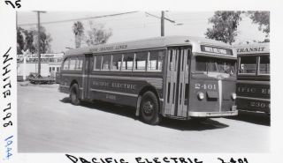 1944 Pacific Electric Railway Bus Photo 2401 Hollywood California