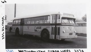 1947 Metropolitan Coach Lines Bus Photo 2274 Santa Ana California