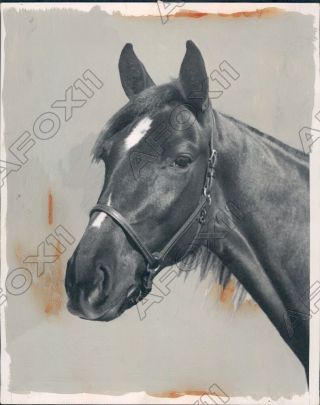 1936 Lexington Kentucky Race Horse Ruth M Mac Press Photo
