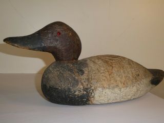 Very Old Antique Canvasback Duck Decoy With Textured Feathers