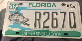 Florida Indian River Lagoon Fish License Plate Tag R267q