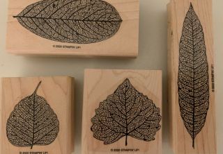 Stampin Up “autumn Leaves” Retired Vintage Rubber Stamp Set Of 4