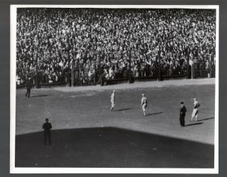 1934 World Series St.  Louis Cardinals 8”x10” Mlb Photograph