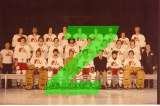 1975 - 76 Quebec Nordiques Wha Hockey Reprint Team Photo