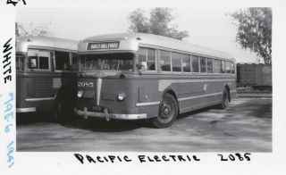 1941 Pacific Electric Railway Bus Photo 2085 Hollywood California