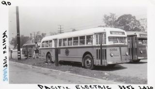 1945 Pacific Electric Railway Bus Photo 3356 Hollywood California