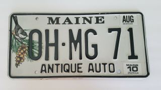 Vtg Maine Antique Auto Vanity License Plate Oh Mg 71 Chickadee Me Expired