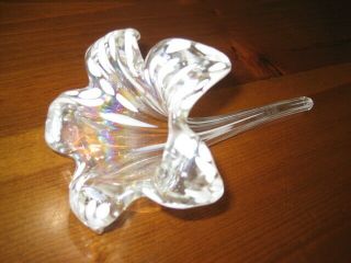 Clear Glass Flower Shaped Cornucopia Bud Vase Opalescent Horn - Of - Plenty 6” Vtg
