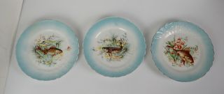 3 Antique Hand Painted Austrian Fish Plates With Pheonix Makers Mark