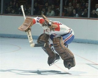 Ken Dryden Montreal Canadiens Game 8x10 Photo