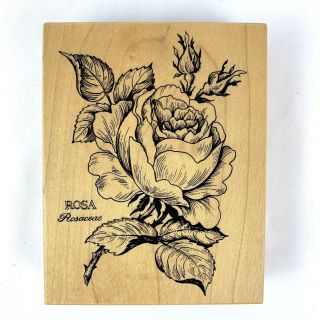 Vintage Psx Rubber Stamp Rose Rosa Rosaceae K - 023 Wood Mounted Usa