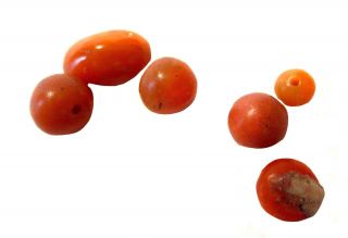 Coral Antique Beads & Cabochon Red
