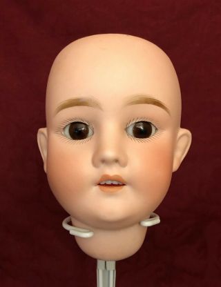 Antique German Bisque Doll Head W/ Brown Sleep Eyes - Marked " Special "