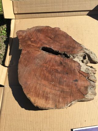 3 Redwood Burl Slabs,  Old Growth,  Live Edge18 1/2”x16 1/2”x2 1/4” Look At Pic