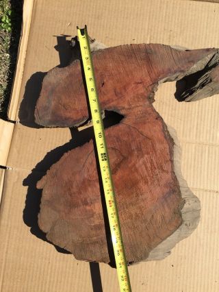 4 - Redwood Burl Slabs,  Old Growth,  Live Edge 21 1/2”x20”x1 1/2” Look At Pic