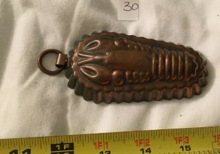 Antique Copper Mini Lobster Fluted Mold Jelly Mould Apsic Pudding European