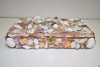Vintage Hand Made Sea Shell Nautical Beach Velvet Lined Trinket Box Humming Bird