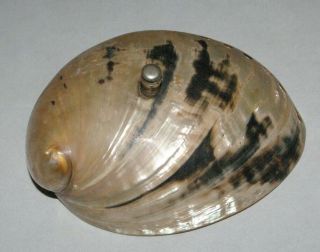 Antique Service Bell Ocean Shell Fun Piece Approx 5 1/2 " By 4 3/8 "