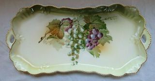 Antique Vintage A&c Bavaria Signed A.  Koch Grape Hand Painted Tray 15 "