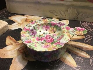 Antique Hand Painted Nippon 2 Pc Porcelain Tea Strainer Chintz Floral/flowers