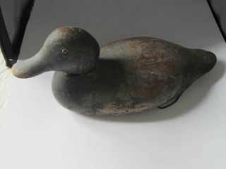 Antique Duck Decoy With Glass Eyes And Hanging Weight