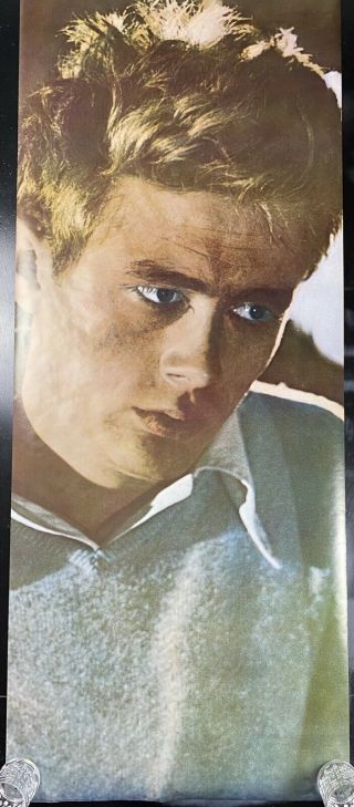 Vintage 1985 James Dean Rebel Without A Cause Large Poster 26.  5 " X 76 "