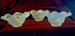Set of 3 Antique Vtg Acid Etched Glass Morning Glory Electric Lamp Light Shade 2