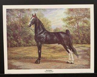 Billie Nipper Signed Print “the Pusher” Tennessee Artist Walking Horse