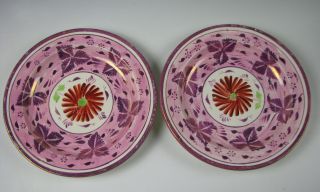 Antique Pink Luster Plates With Pearlware Glaze Staffordshire Pottery 19th C.