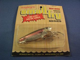 Bagley Deep Diving Small Fry Rainbow Trout 3 Fishing Lure Rt (1)