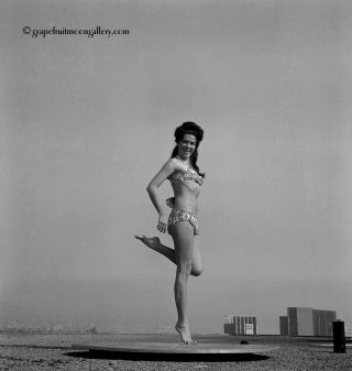 Bunny Yeager Pinup Camera Negative Brunette Bikini Model Tara Winters