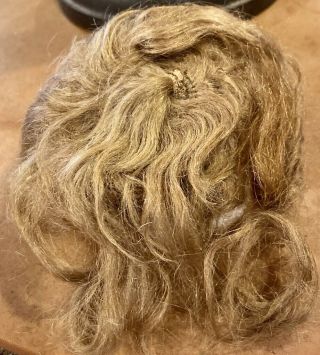 60 8 " Antique Lt Brown Mohair Doll Wig For Antique Bisque Doll
