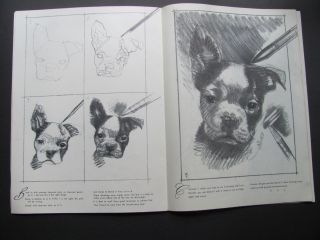 How To Draw Dogs By Walter T Foster Artwork Print Boston Terrier Doberman Yorkie