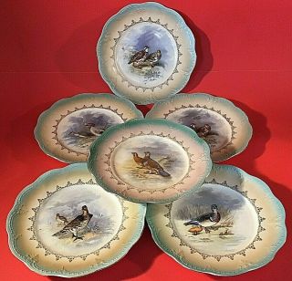 Antique Limoges Game Bird Plates Set Of 6 Hand Decorated Scalloped 8 1/8 " Gold T