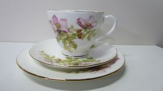 Vintage Duchess Floral Pink Roses Flowers Trio Tea Cup Saucer Plate