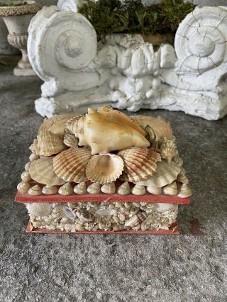 Antique Victorian Sea Shell Art Whimsy Trinket Box Folk Art