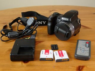 Sony Cyber Shot Dsc - H9 8.  1 Mp Digital Camera With Case 15x Zoom
