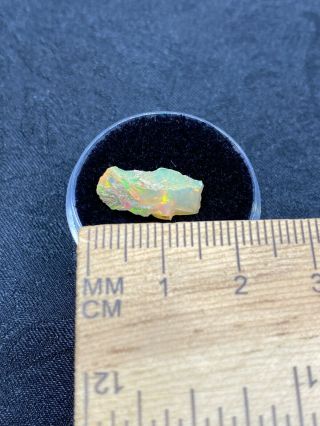 Lovely Rough Opal Piece In Gem Jar -.  6 Grams - Vintage Estate Find