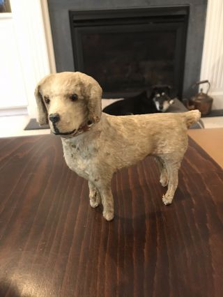 Large Mohair Antique German Golden Lab Dog Candy Container