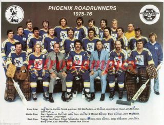 1975 - 76 Phoenix Roadrunners Wha Reprint Hockey Team Photo