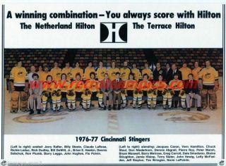 1976 - 77 Wha Cincinnati Stingers Hockey Team Photo