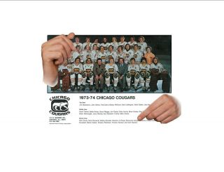 1973 - 74 Wha Chicago Cougars Reprint Hockey Team Photo