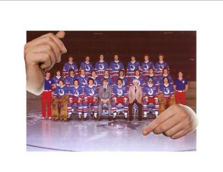 1978 - 79 Wha Birmingham Bulls Hockey Reprint Team Photo