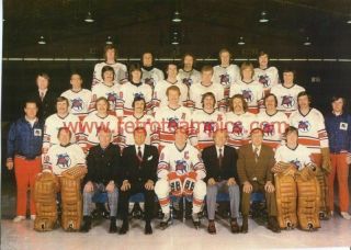 1973 - 74 Toronto Toros Wha Reprint Hockey Team Photo