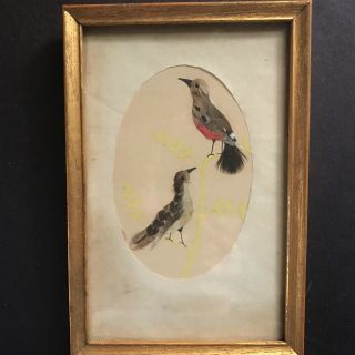 Antique Vintage Bird Feather Art Framed Early Mid Century 1930 - 40s