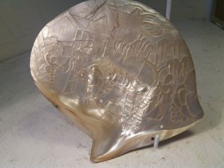 Chinese Deep Carved Mother Of Pearl Shell A/f