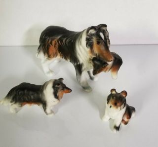 Set Of 3 Vintage Miniature Bone China Shetland/collie Dog Figurines